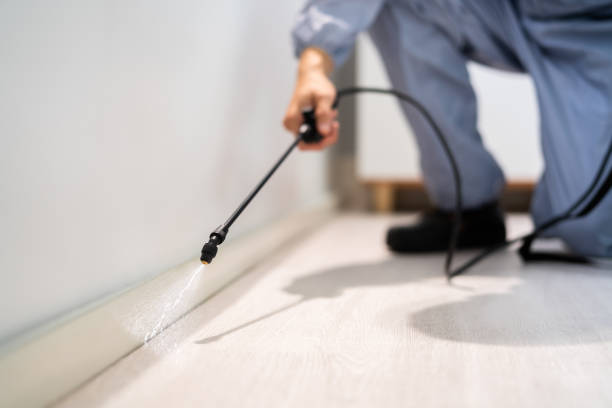 Licensed Pest Control service in McDade, TX - Show Me Pest Control