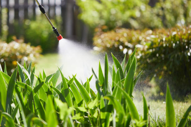 Tamper-Resistant Bait Stations for Rodents in McDade