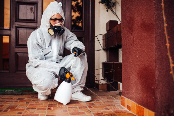 Attic and Crawl Space Rodent Treatment in McDade