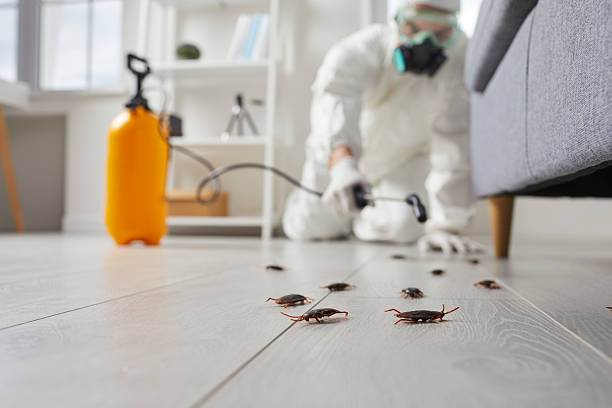 Commercial Rodent Management in McDade